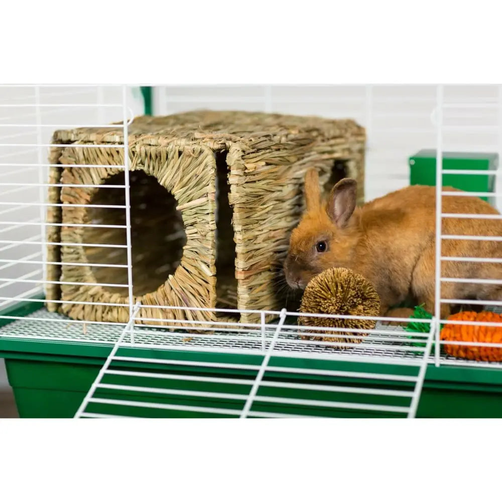 Prevue Pet Products Grassy Carrot-Shaped Nibbling Toy for Small Animals