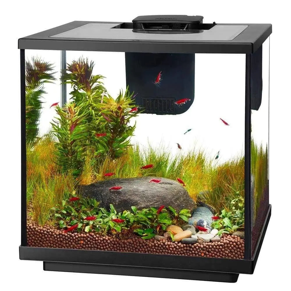 Aqueon 7.5-Gallon Designer LED Freshwater Shrimp and Plant Aquarium Kit