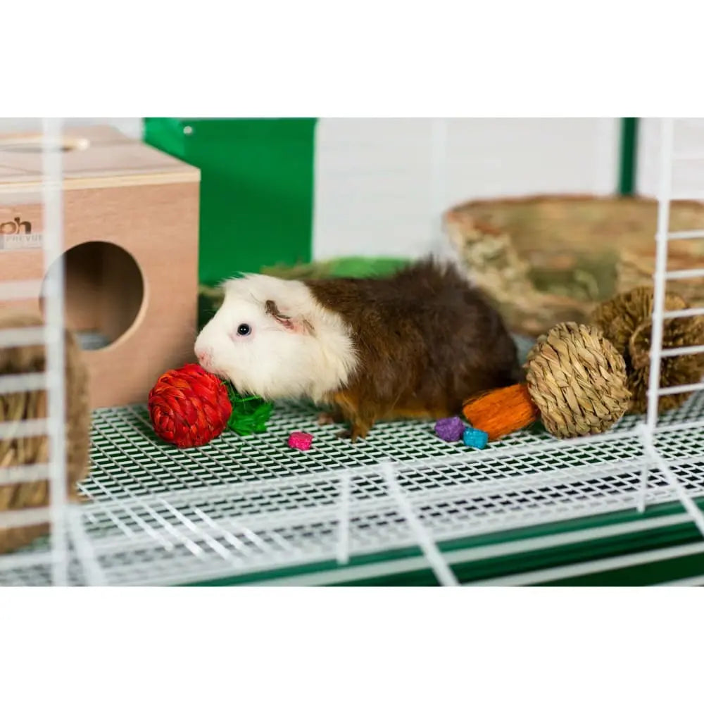 Prevue Pet Products Small Animal Gravity Metal Bin Feeder for Rabbits, Guinea Pigs and Similar - Sized Pets