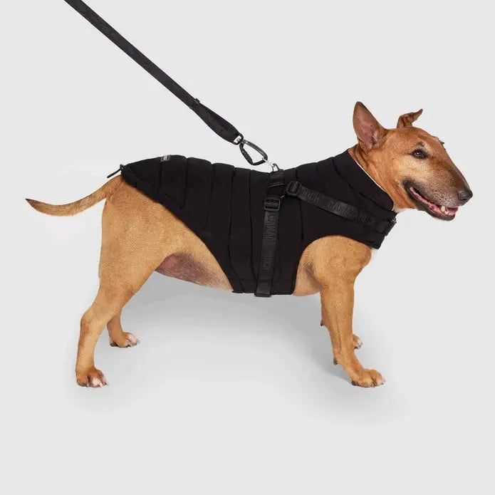 Canada Pooch Premium Dog Winter Puffer Jacket with Integrated Harness