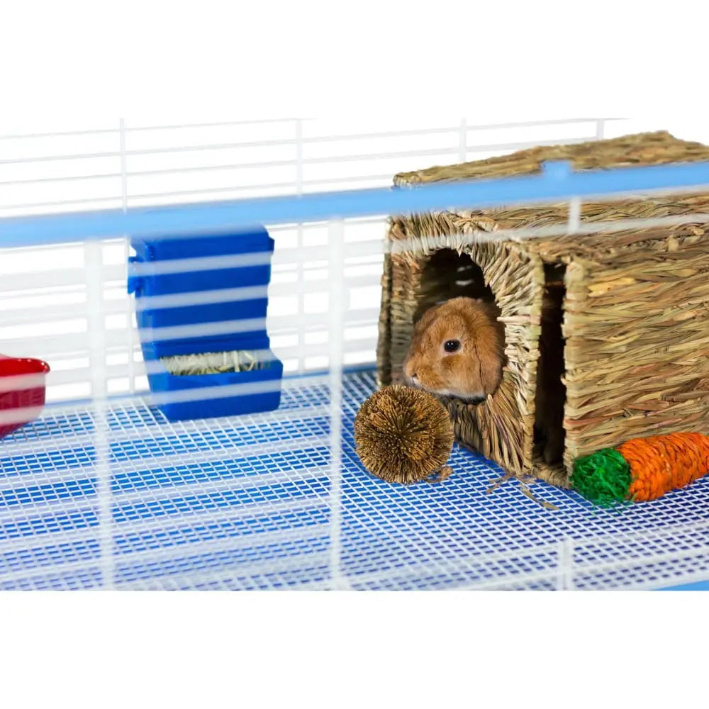 Prevue Pet Products Grassy Carrot-Shaped Nibbling Toy for Small Animals
