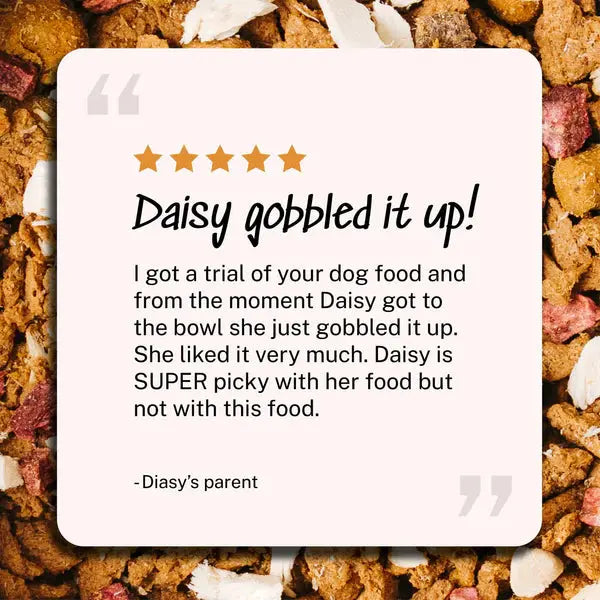 Yummers Premium Freeze - Dried Chicken and Beef Recipe Dog Food for Canine Delight