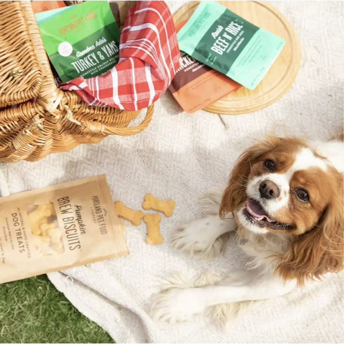 Portland Pet Food Co. Hopkins' 8/9oz Natural Pork & Potato Homestyle Wet Dog Food Topper