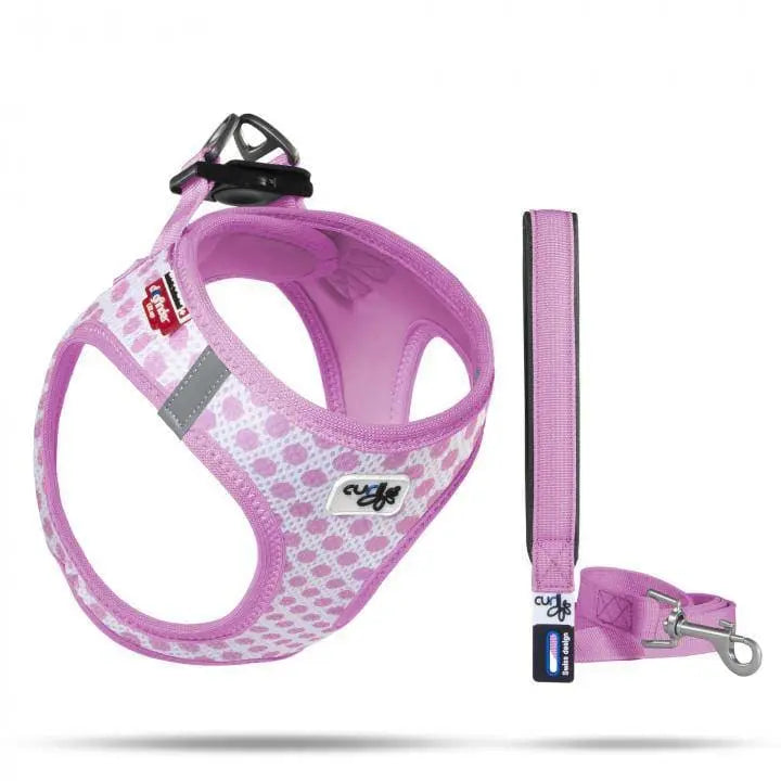 Lightweight Air-Mesh Vest Harness with Matching Leash for Small Puppies