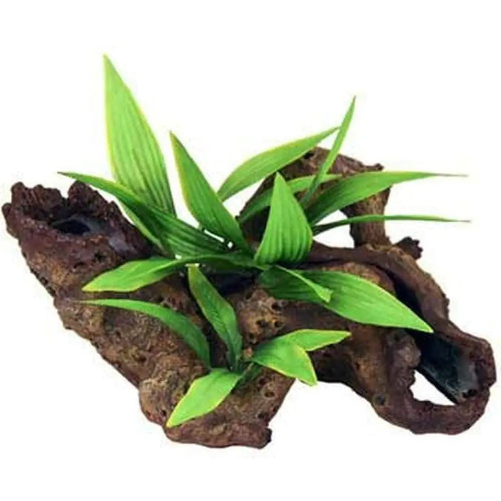 Blue Ribbon Exotic Mopani Wood Decorated with Silk-style Plants