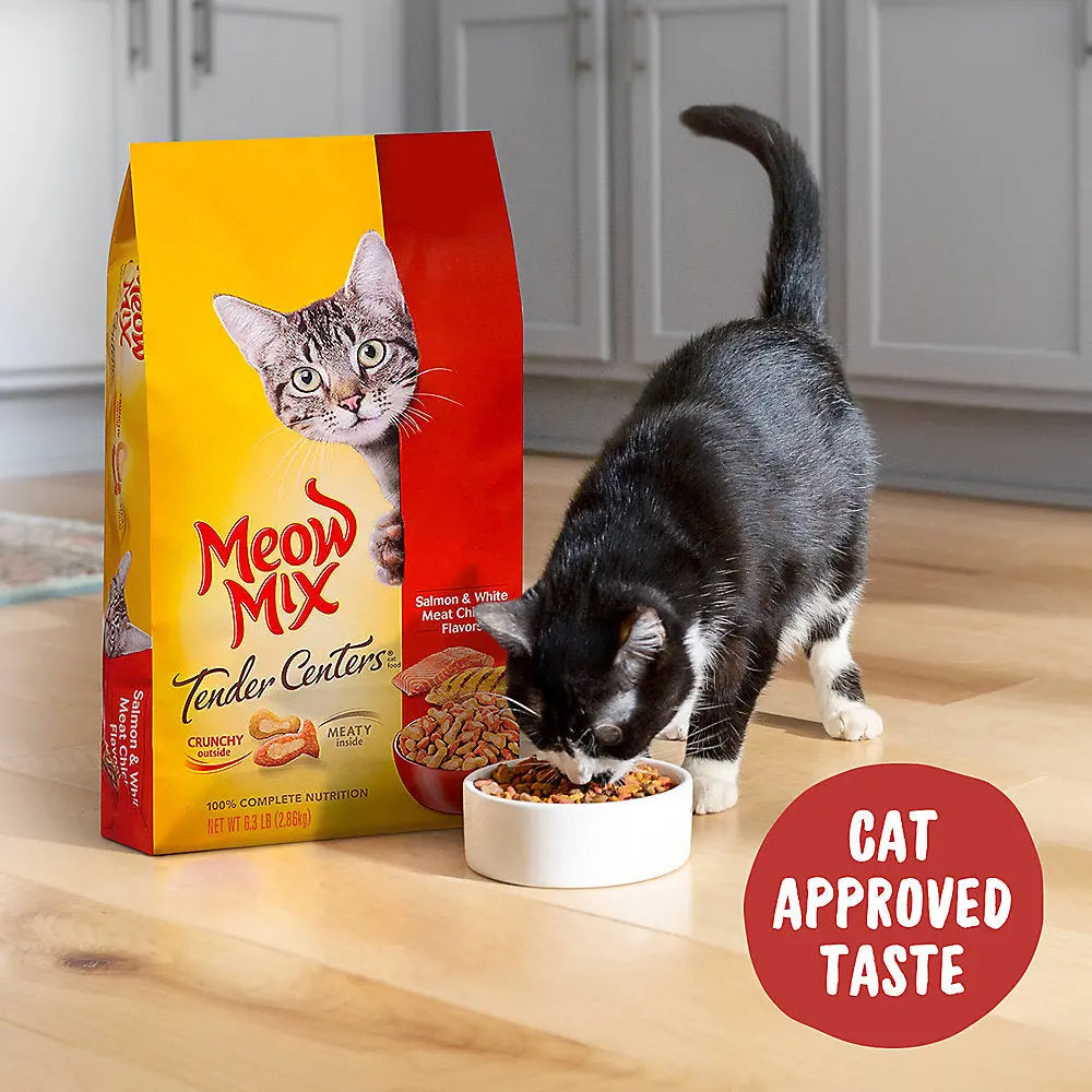 Meow-Mix Dry Cat Food with Tender Centers in Irresistible Salmon and Chicken Flavors
