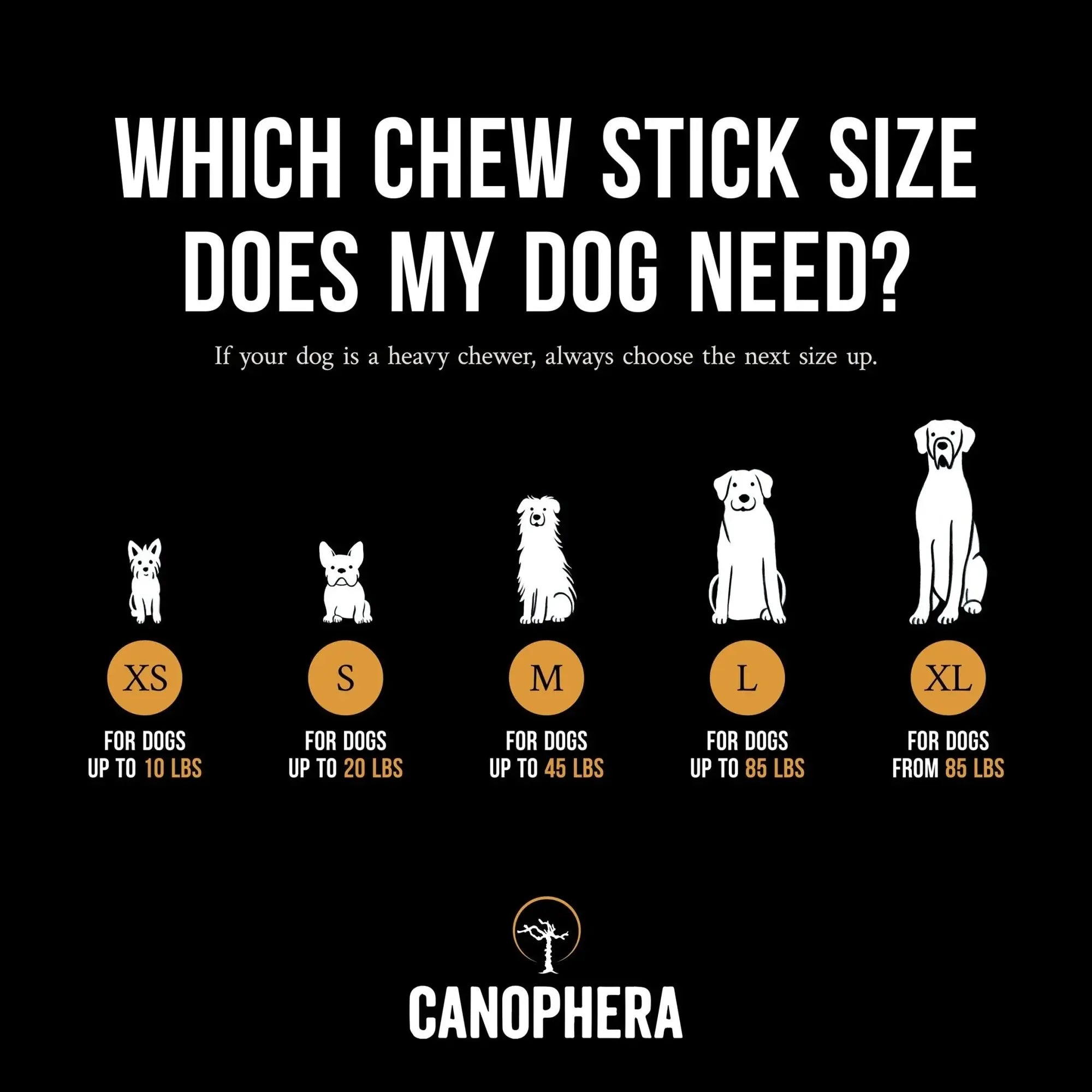 CANOPHERA Premium All-Natural Coffee Wood Chew Sticks for Canine Companions