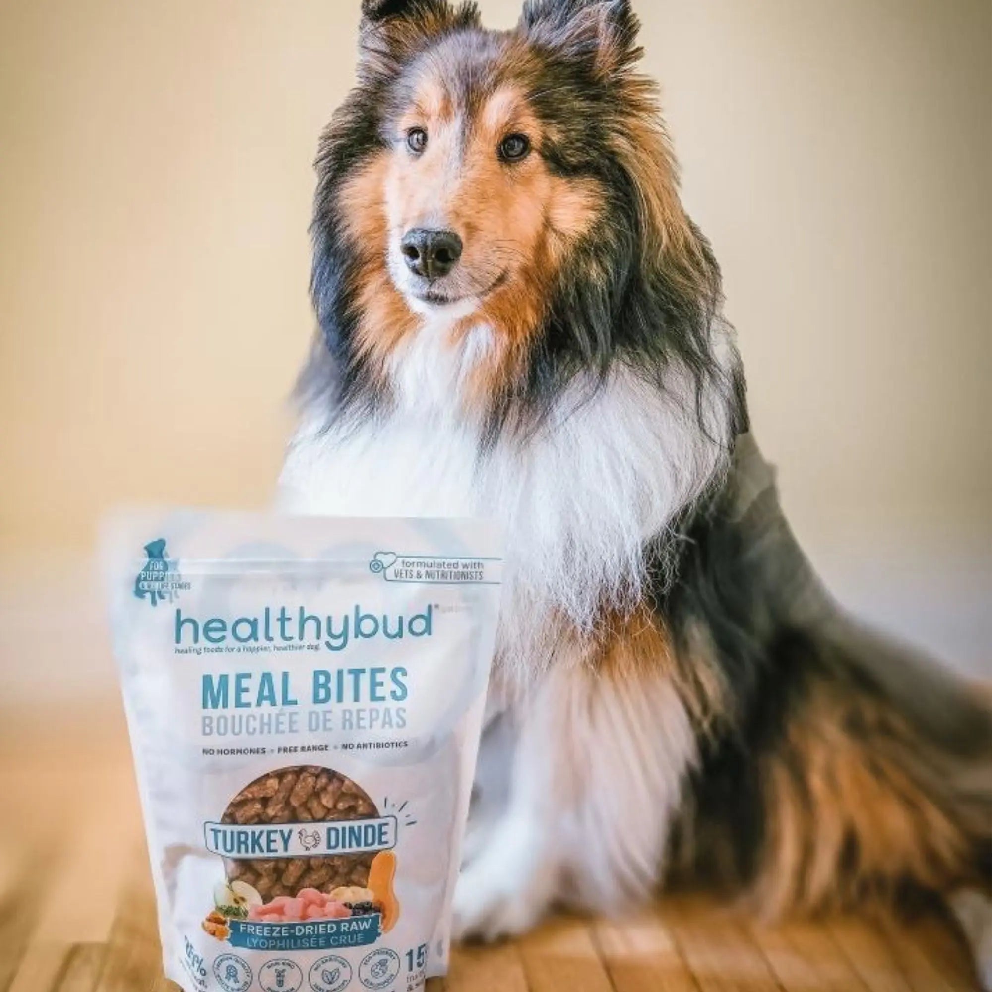 Healthybud 14Oz Freeze-Dried Turkey Meal Bites for Dogs - Nutrient-Rich & Convenient