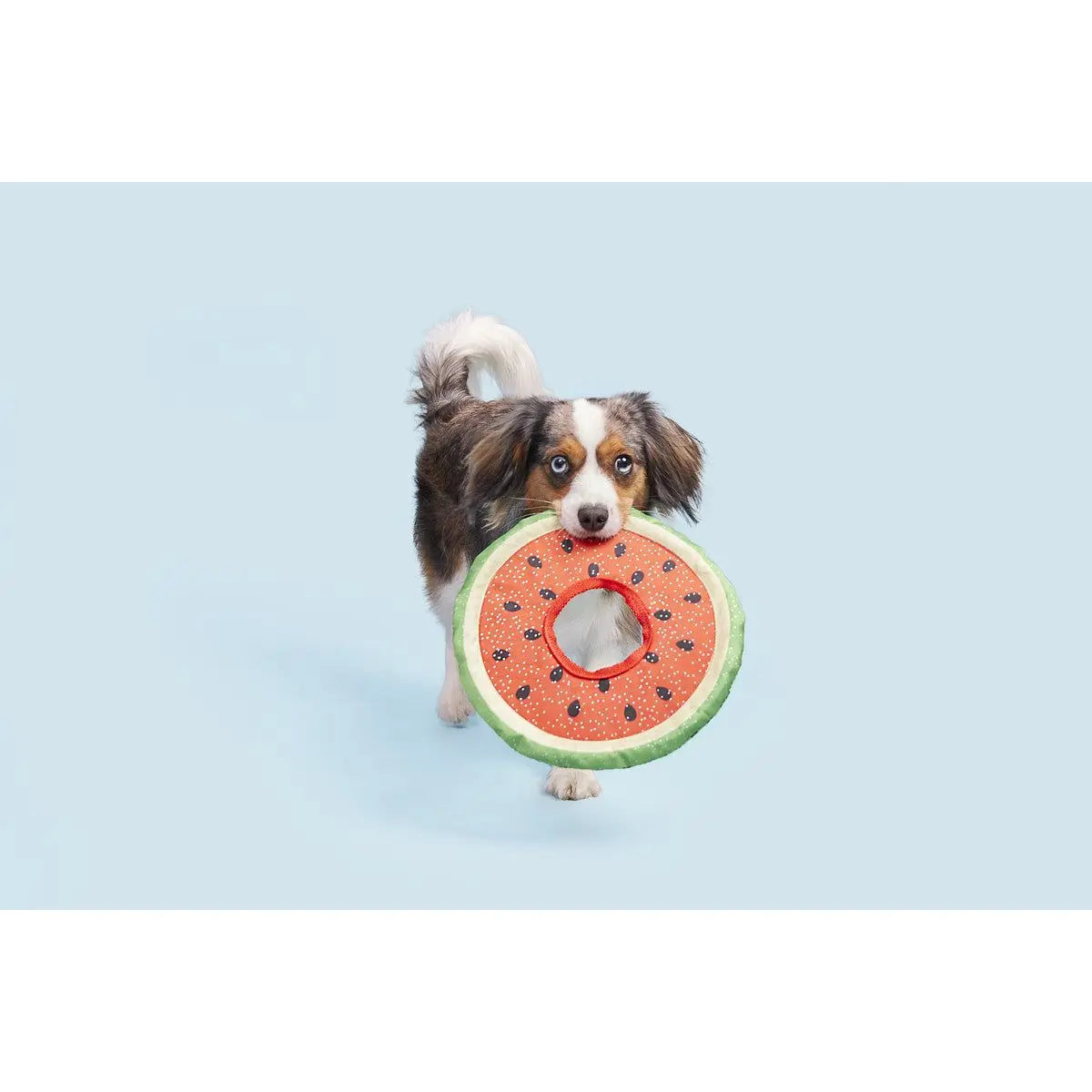 BARK Slobbermelon Durable Fetch Toy for All - Sized Dogs