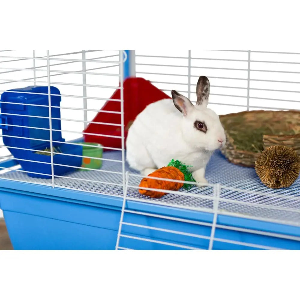 Prevue Pet Products Grassy Carrot-Shaped Nibbling Toy for Small Animals