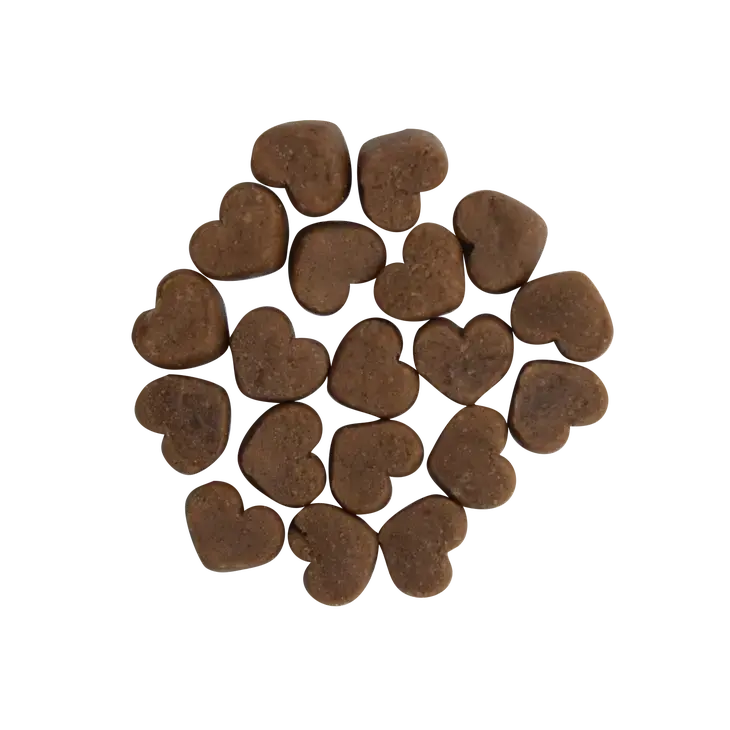 Health Extension Premium Impawfect Bacon Flavored Soft and Chewy Dog Training Treats