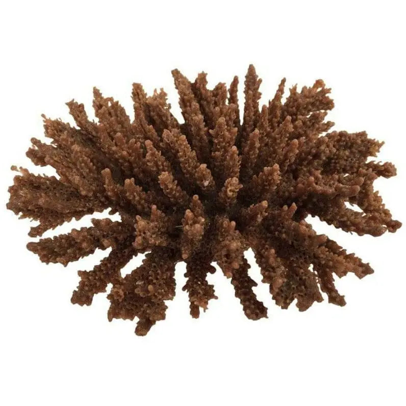 Weco South Pacific Bendable Coral Tabletop Decorative Ornament