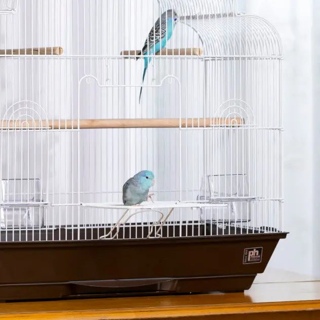 Prevue Pet Products High - Quality Keet/Tiel Bird Cage with Cascade - Style Roof