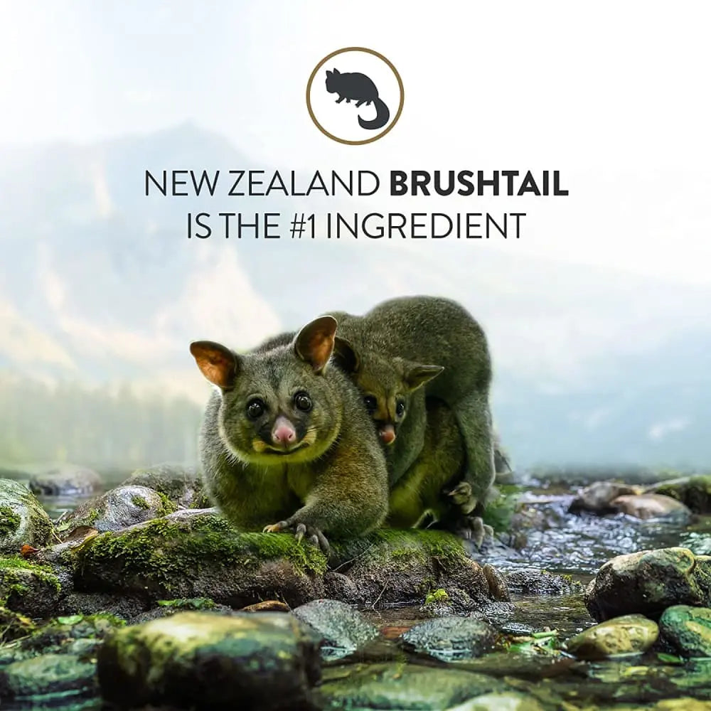 Addiction Premium Quality Perfect Summer Brushtail Raw Substitute Gently Air - Dried Dog Food for Canines