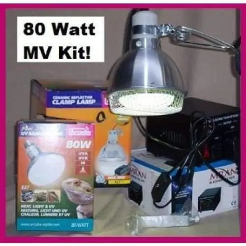 High - Quality Mercury Vapor Bulb Kit for Reptiles Suitable for Use in the US and Canada with 230 - Volt Bulb