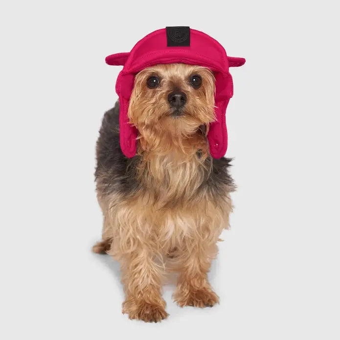 Stylish Canada Pooch Insulated Puffer-style Dog Hat for Winter Warmth