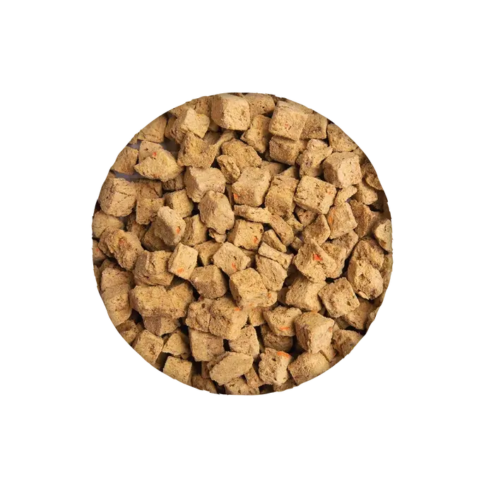Health Extension Freeze - Dried Superbites Raw Salmon Mixer for Canine Delights