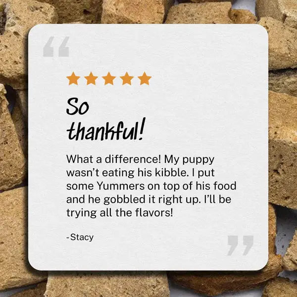 Yummers 2.5 oz Freeze-dried American Beef Liver Gourmet Topper for Dogs