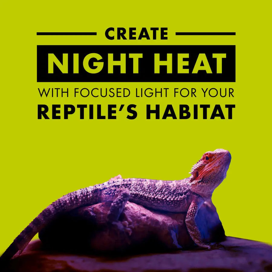 Zilla High - Performance Incandescent Spot Bulb for Reptile Terrariums