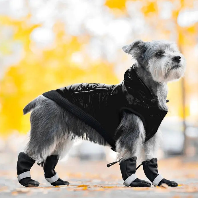 Canada Pooch Waterproof Soft Shield Boots for Dogs