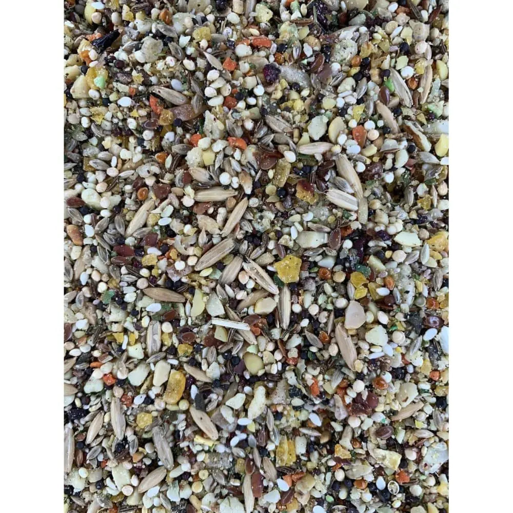 Goldenfeast Premium Patagonian - Inspired Blend for Birds