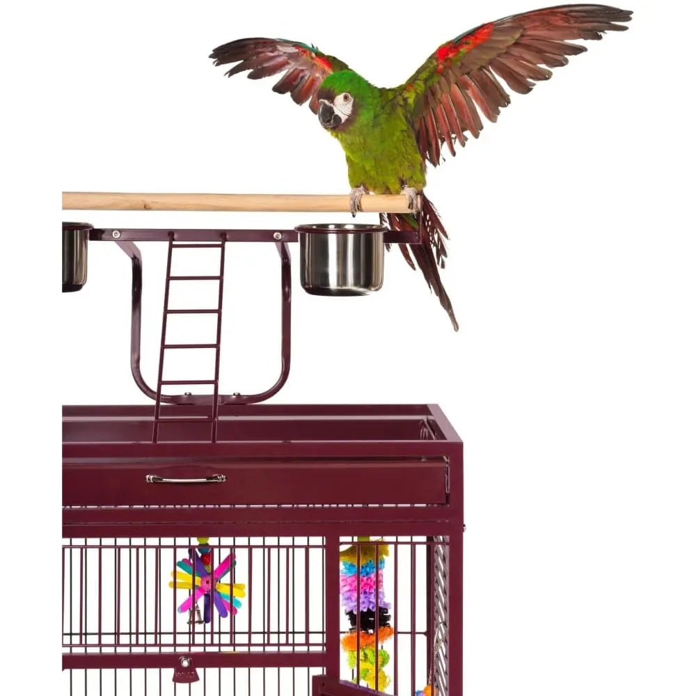 Prevue Pet Products High - Quality Playtop Bird Cage Model 3152 for Happy Birds