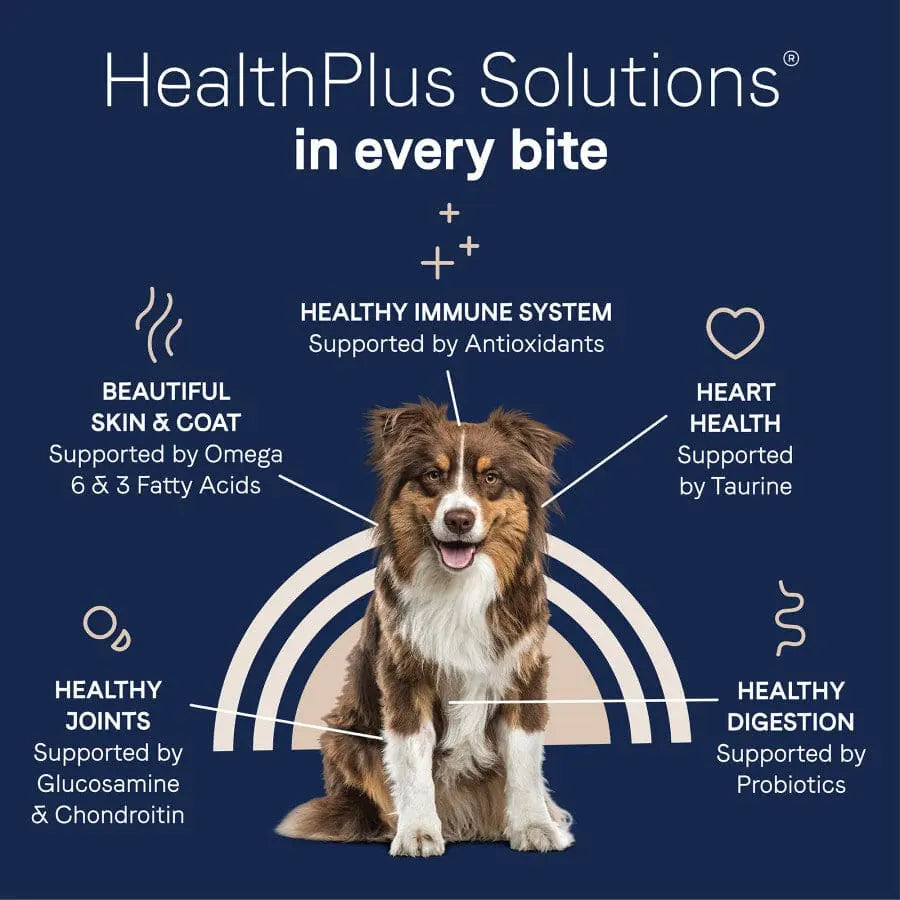 CANIDAE PURE Premium Dry Dog Food - Real Lamb & Brown Rice Recipe with Wholesome Grains