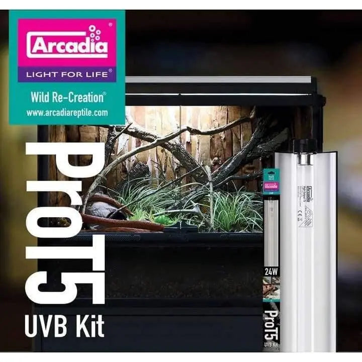 Arcadia ProT5 UVB Lighting Kit with Bulb - Ideal for Reptiles like Bearded Dragons, Uromastyx and More, T5 UV Bulb Included