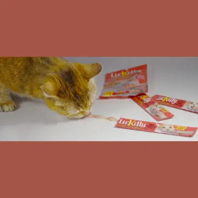 Against the Grain LicKitty Catnip-Infused Chicken Flavor Creamy Mousse Treat for Kitties