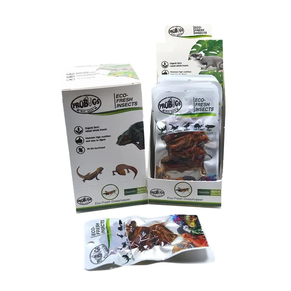 Eco-Fresh Grasshopper Pro Bugs: Ideal Food for Larger Cichlids, Amphibians, Hedgehogs & Parrots
