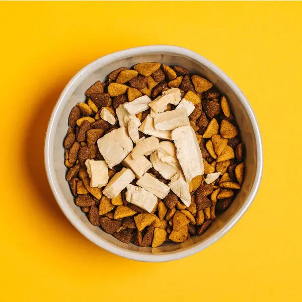 Yummers 2.5 oz. Freeze - Dried All - Natural USA - Sourced Chicken Dog Food Topper