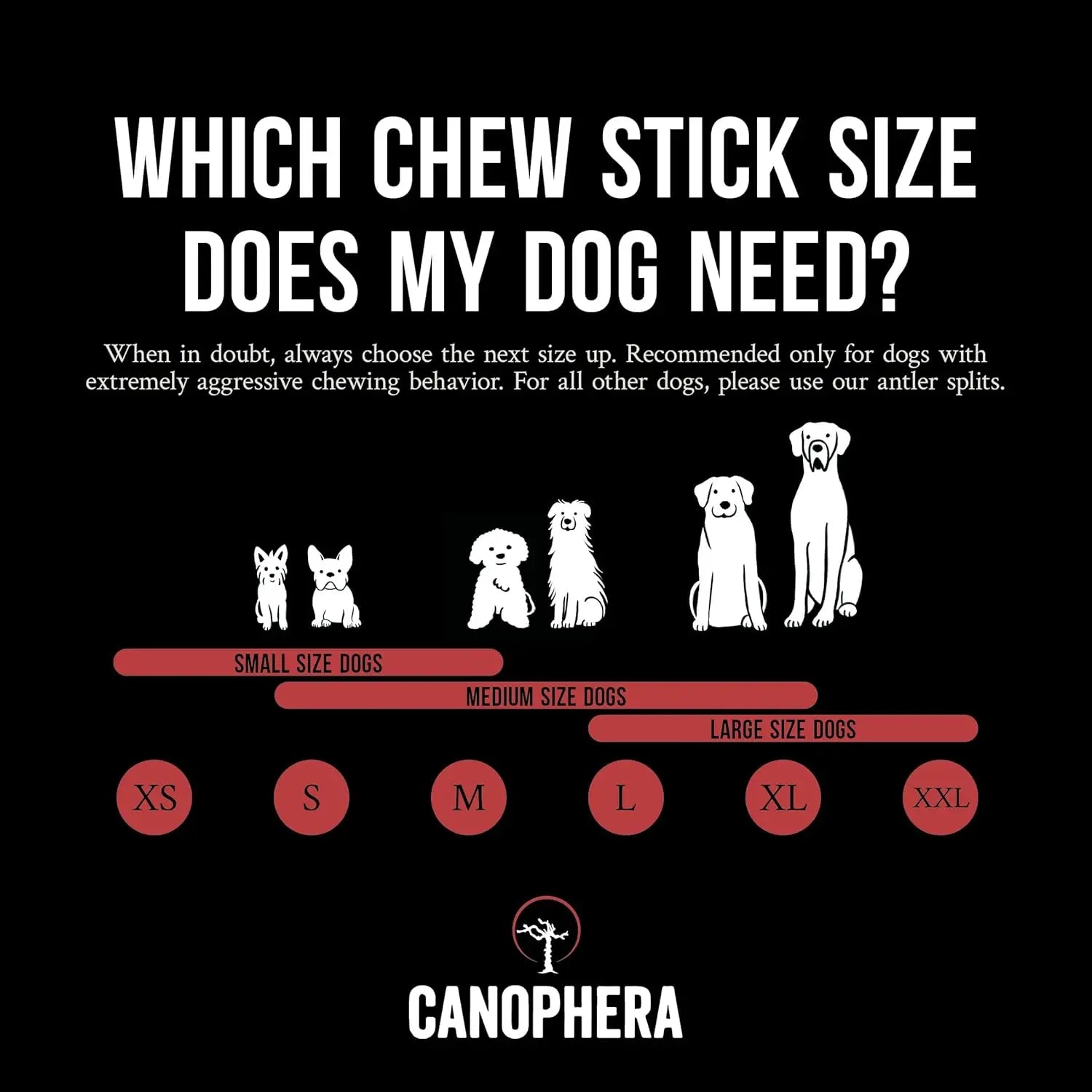 Canophera All - Natural Grade - A Whole Red Deer Antler Dog Chews for Healthy Teeth