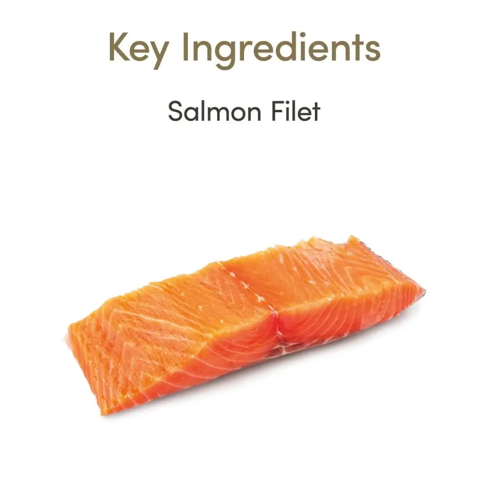 Applaws 1.06oz Natural Salmon Loin Cat Treats, 12 per Case