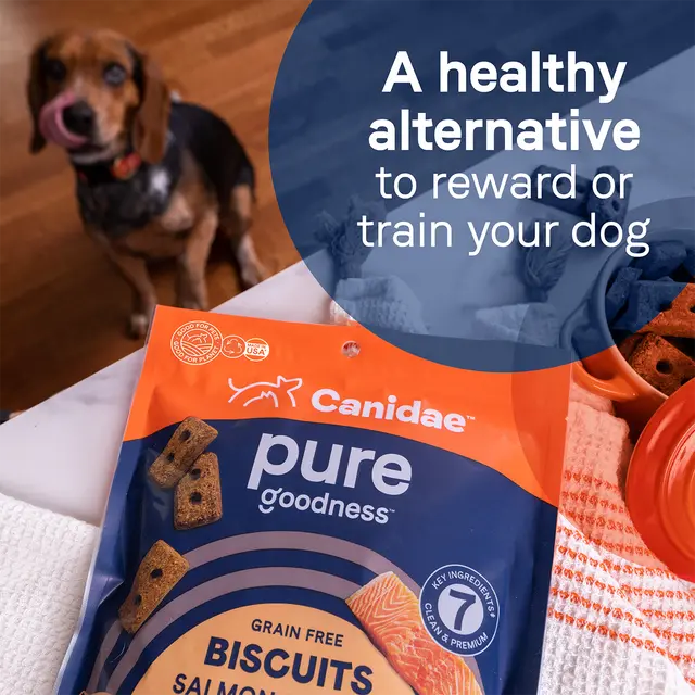 CANIDAE PURE Grain-Free Lamb Liver & Butternut Squash Dog Biscuit Treats - 11 oz