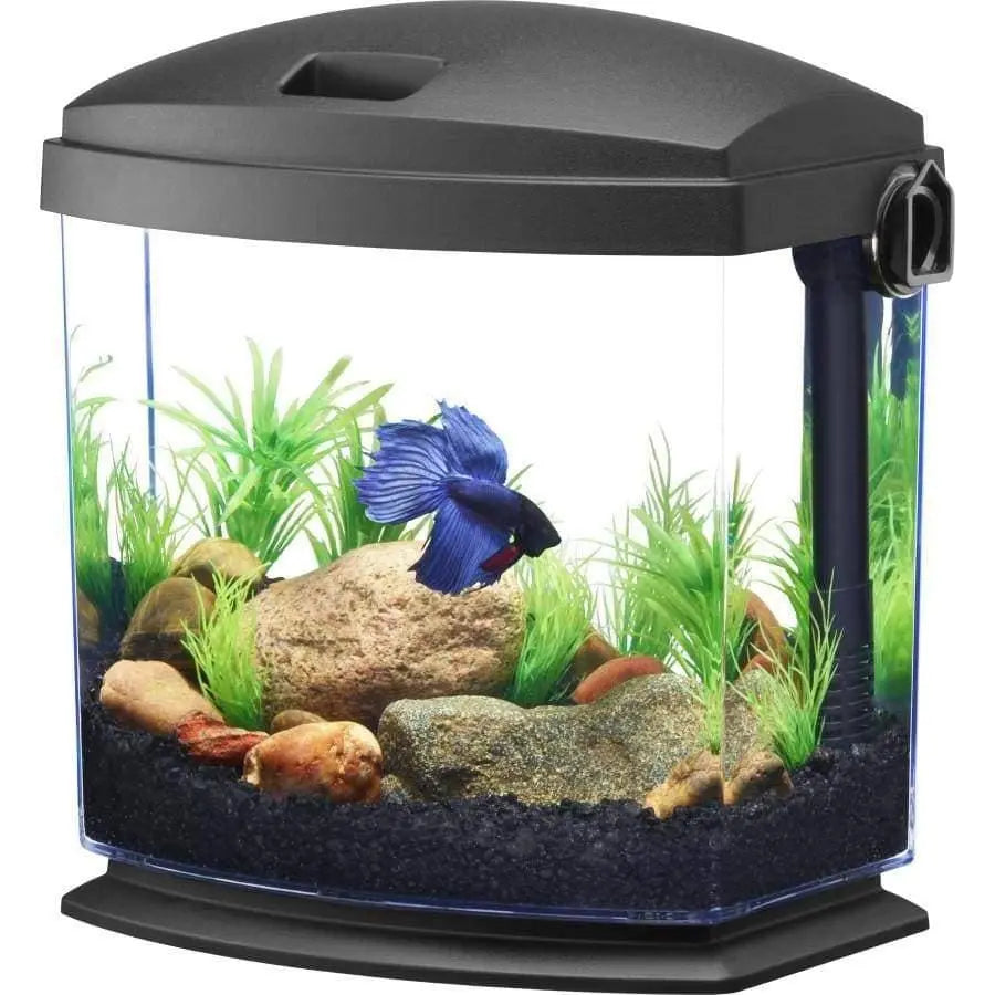 Aqueon Black Betta Aquarium Kit with Innovative Quick Clean Technology