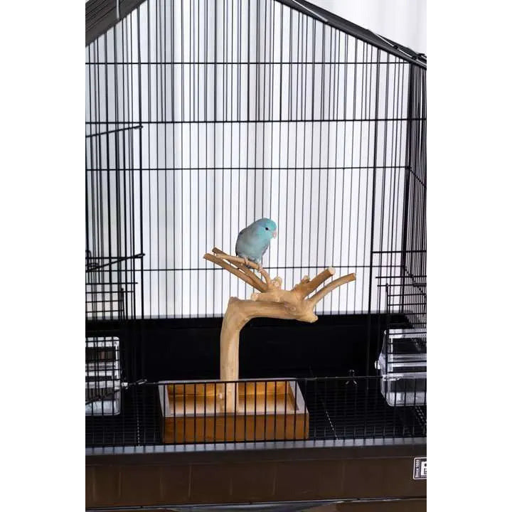 Prevue Pet Products Mini Table Top Playstand Made of Coffeawood for Small Birds
