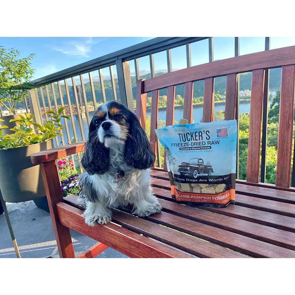 Tucker's® 14 Oz Freeze-Dried Dog Food: Pork, Lamb & Pumpkin Formula