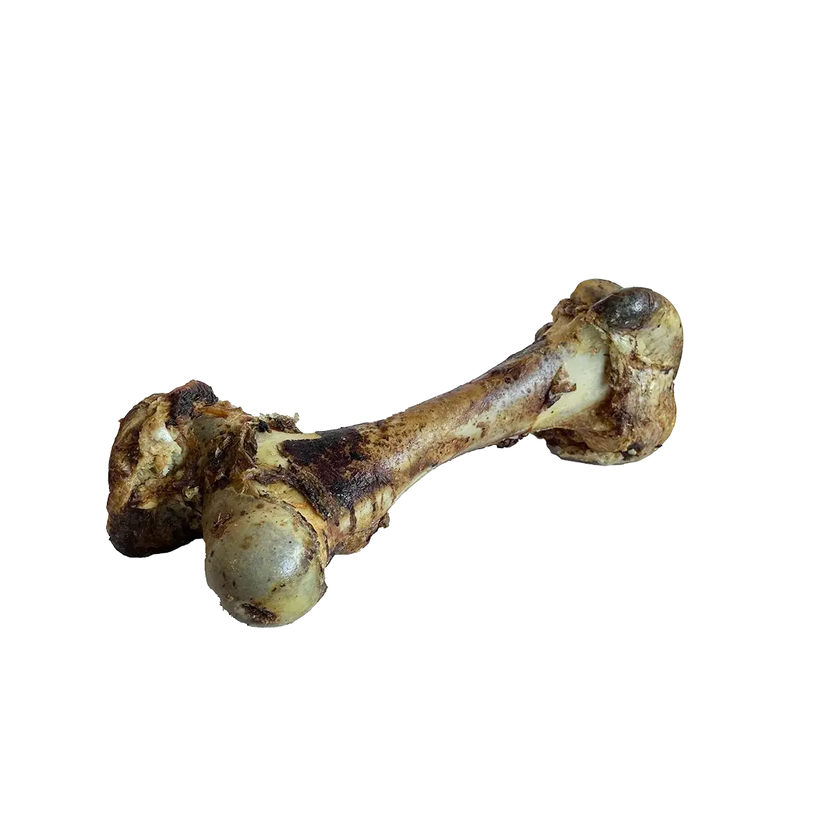 Premium Home-Raised Beef Cured Dino Bones - Ideal Dog Chews