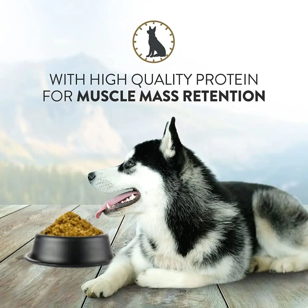 Addiction 2 lb Grain - Free Raw - Style Dog Food with Steakhouse Beef & Zucchini for Skin & Digestive Health