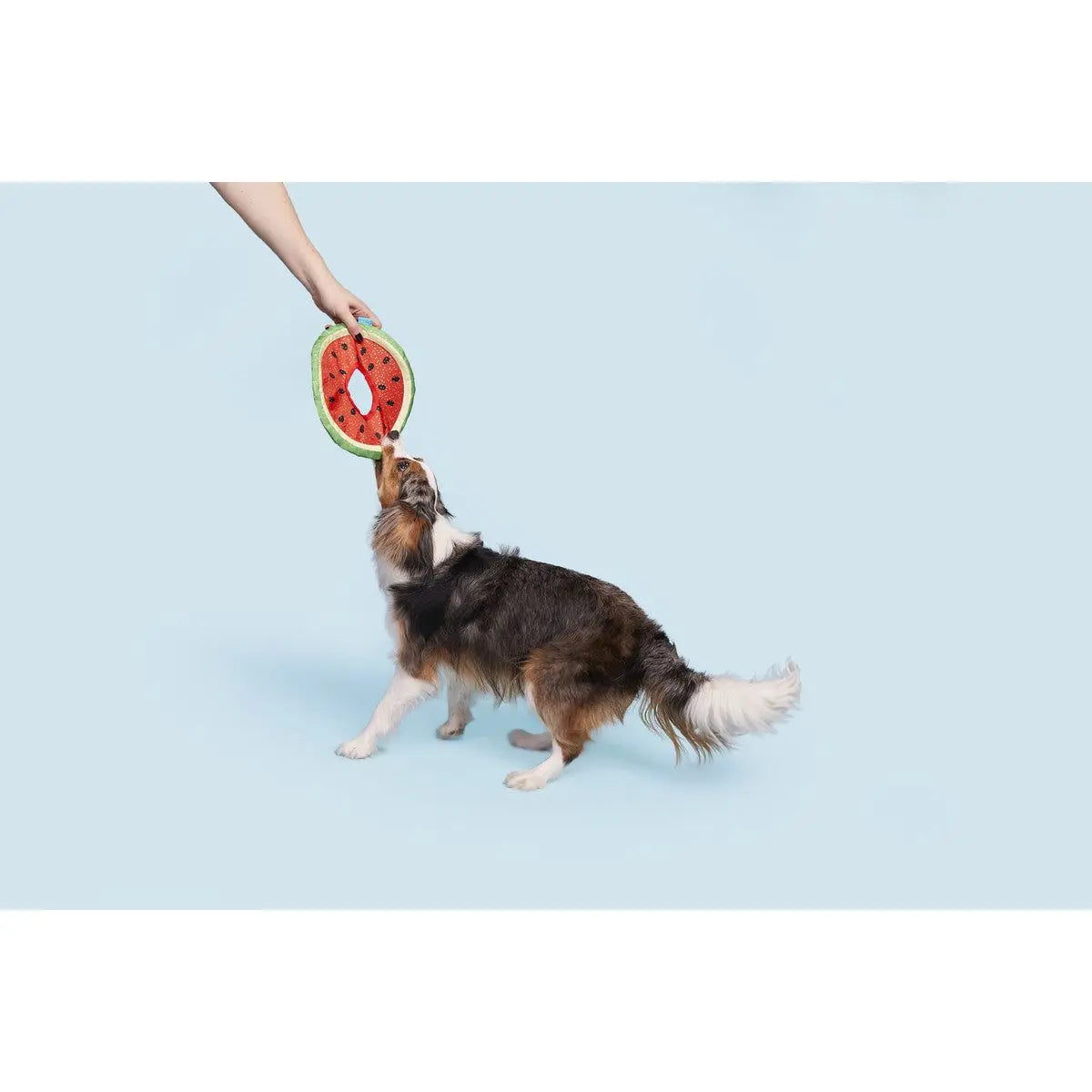 BARK Slobbermelon Durable Fetch Toy for All - Sized Dogs