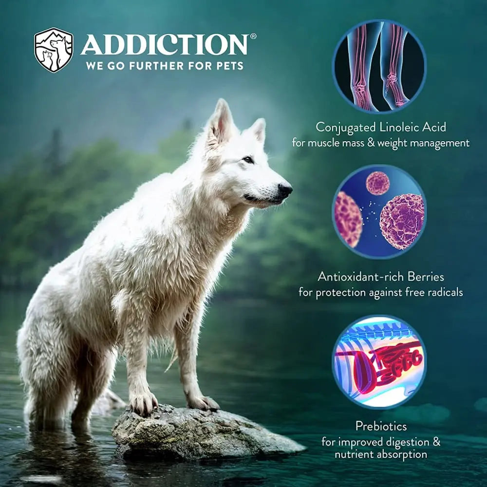 Addiction Homestyle Venison and Cranberry Dinner - An Air - Dried Raw Alternative Dog Food for Canines