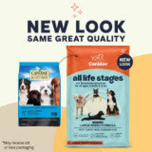 CANIDAE Premium All Life Stages Dry Dog Food Formula for Large Breeds with Turkey Meal and Brown Rice