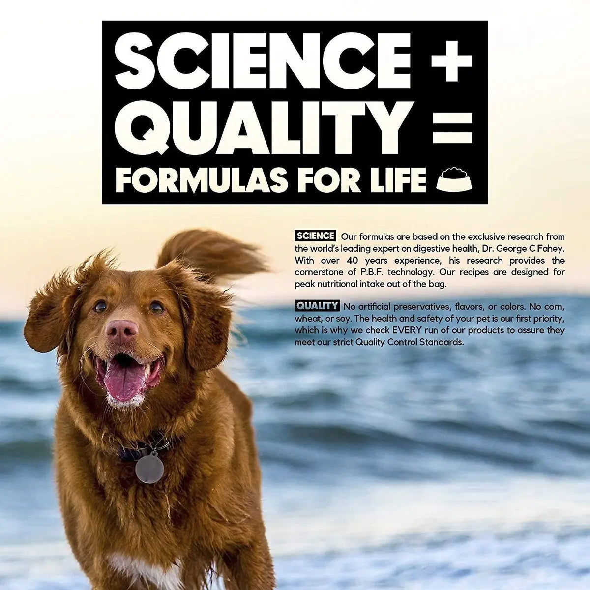 Lucy Pet's Premium L.I.D. Grain-Free Dry Dog Food with Duck, Pumpkin & Quinoa