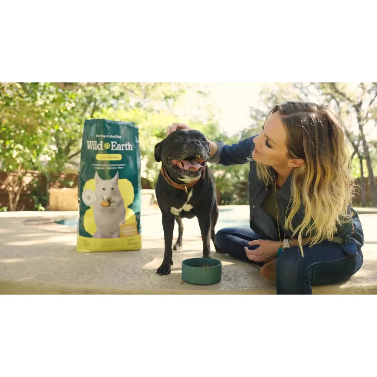 Wild Earth Vegan Maintenance Dog Food: Golden Rotisserie Flavor for Allergy Relief