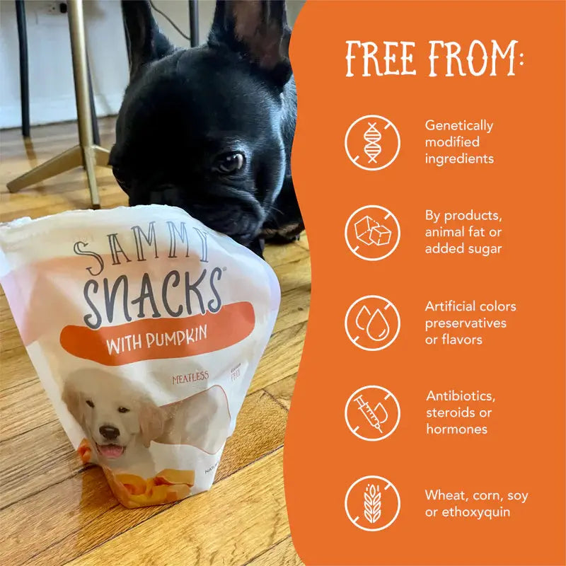 Health Extension Sammy Snacks All - Natural Pumpkin - Flavored Dog Treats, 8 - Ounce Pack