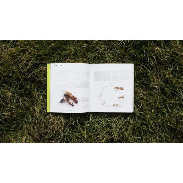 Ants: An In - Depth Visual Guide by Heather Campbell and Benjamin Blanchard