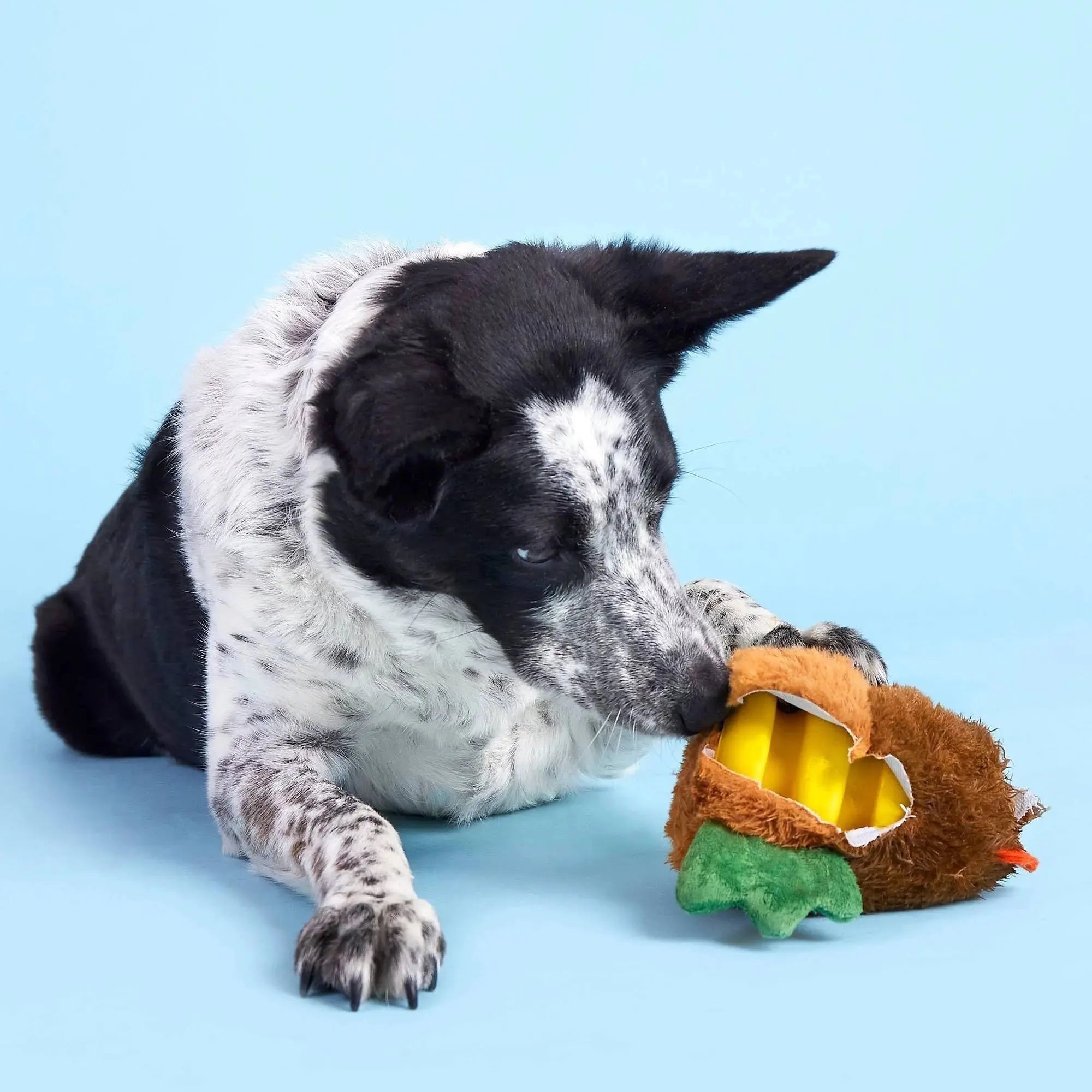 BARK Fowl Play Interactive Rooster Dog Chew Toys for Active Puppies