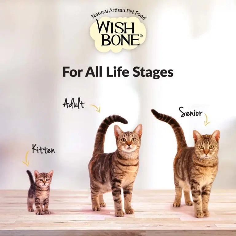 Wishbone Grain-Free Grass-Fed New Zealand Beef & Lamb Dry Cat Food