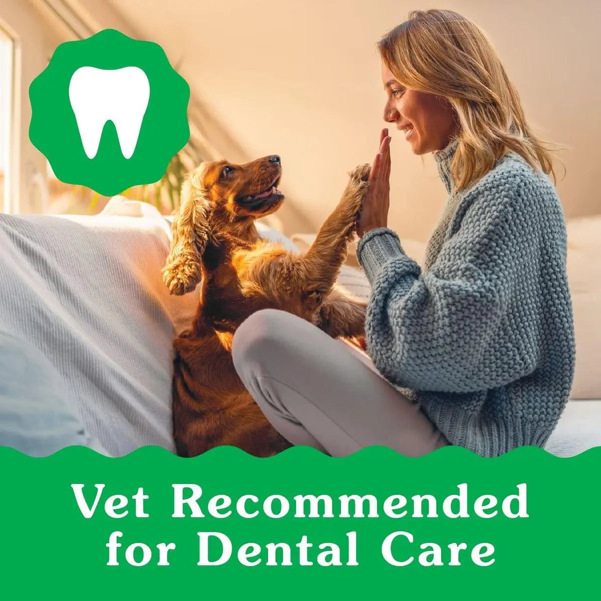 Delicious Greenies Dental Treats Specially Designed for Puppies Aged 6 Months and Above