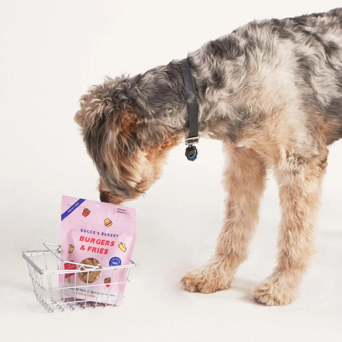 Bocce's Bakery 5oz Crunchy Dog Treats: Burgers & Fries Inspired